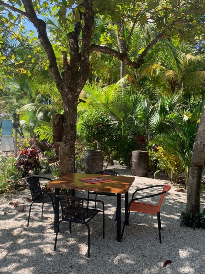 Beach Front Bahia Samara Ngoại thất bức ảnh
